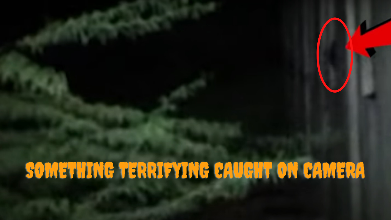 Something terrifying caught on camera